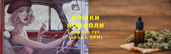 крисы Покачи