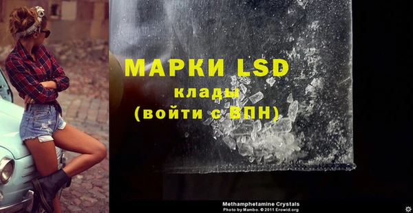 крисы Покачи